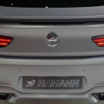 Hamman BMW M6 Mirror