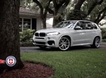 BMW X5 Brushed Aluminum by Wheels Boutique