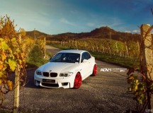 BMW 1M Alpine White Photo Session