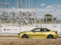F82 BMW M4 Austin Yellow - Photo Session by William Stern