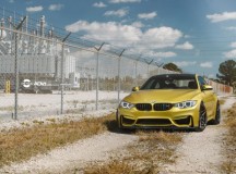 F82 BMW M4 Austin Yellow - Photo Session by William Stern