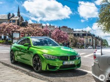 Signal Color BMW M4