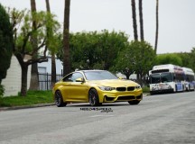 F82 BMW M4 Wrapped in Ground Force GF06 Wheels