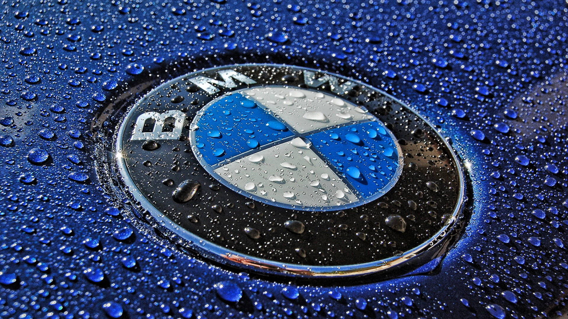 BMW`s Sales in November Keeps the First Place Worm, Mercedes-Benz Falls 13 Percent Behind